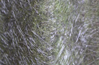 Henstead fibreglass roof work